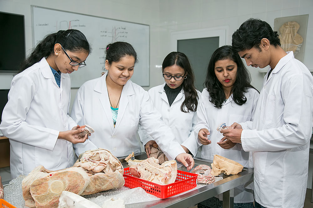 Medical Program